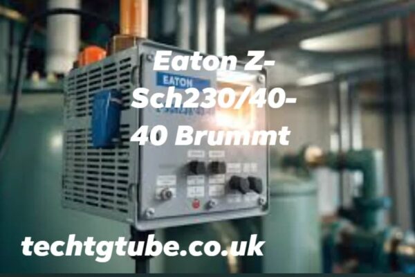 Eaton Z-Sch230/40-40 Brummt