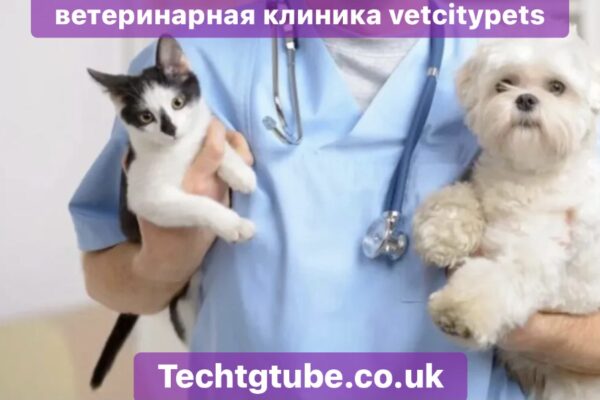 ветеринарная клиника vetcitypets