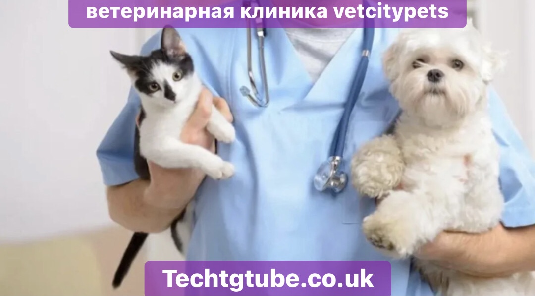 ветеринарная клиника vetcitypets