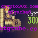 crypto30x.com gigachad