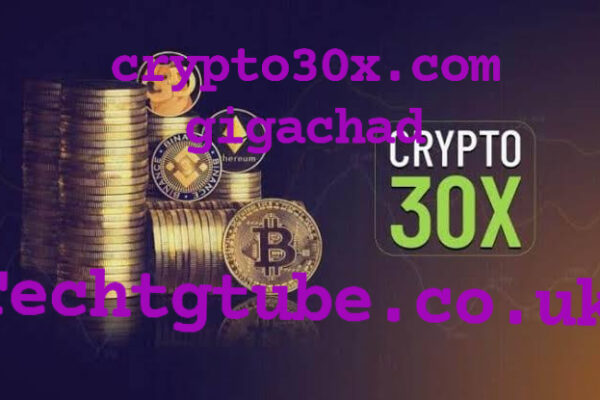 crypto30x.com gigachad