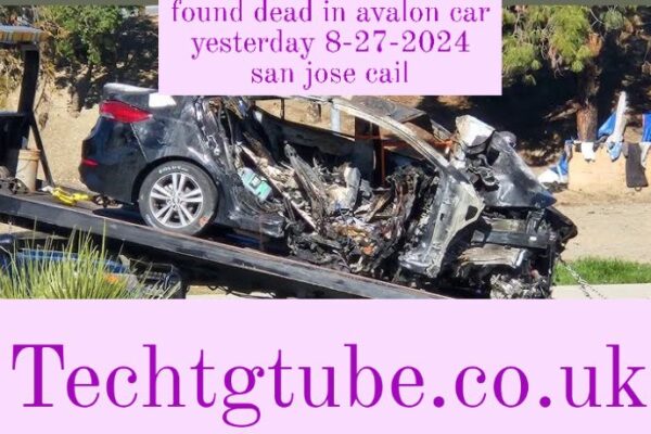 found dead in avalon car yesterday 8-27-2024 san jose cail