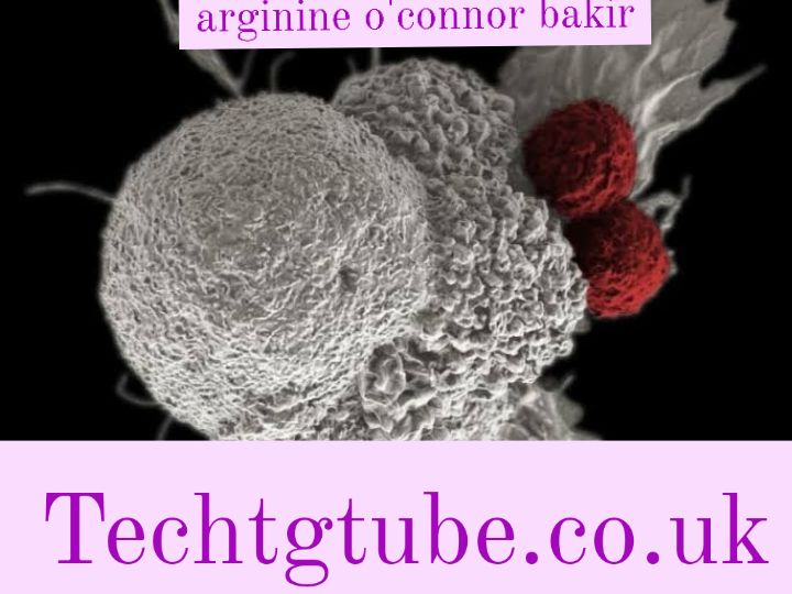 arginine o'connor bakir