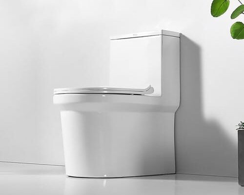 Understanding Dual Flush Technology: How Round Toilets Save Water