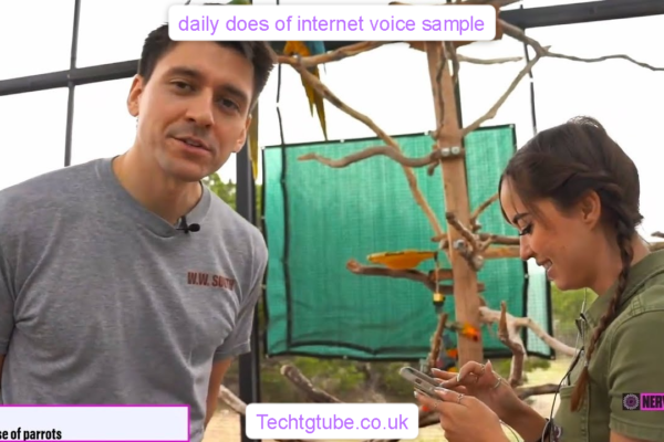 daily does of internet voice sample