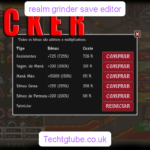 realm grinder save editor