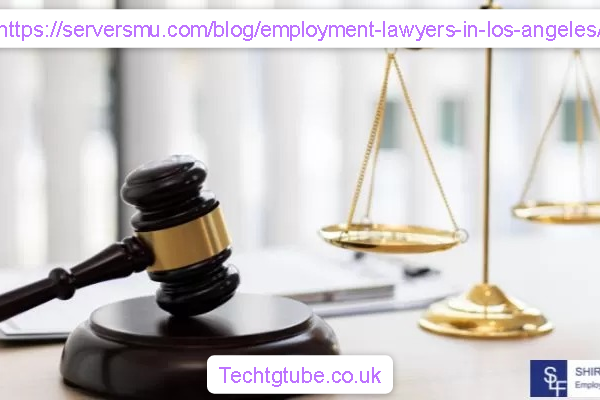 https-serversmu-com-blog-employment-lawyers-in-los-angeles