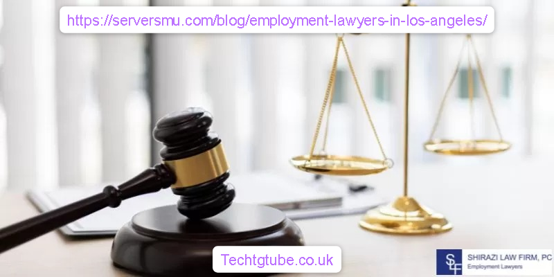 https-serversmu-com-blog-employment-lawyers-in-los-angeles